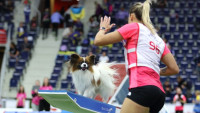 agility S Gintare Giliute Sinke s papilonem Tristanem z Danska